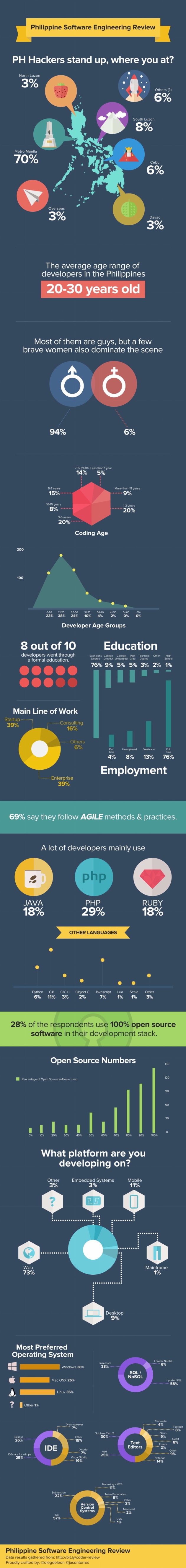 Infographic: Software Engineering Review 2013